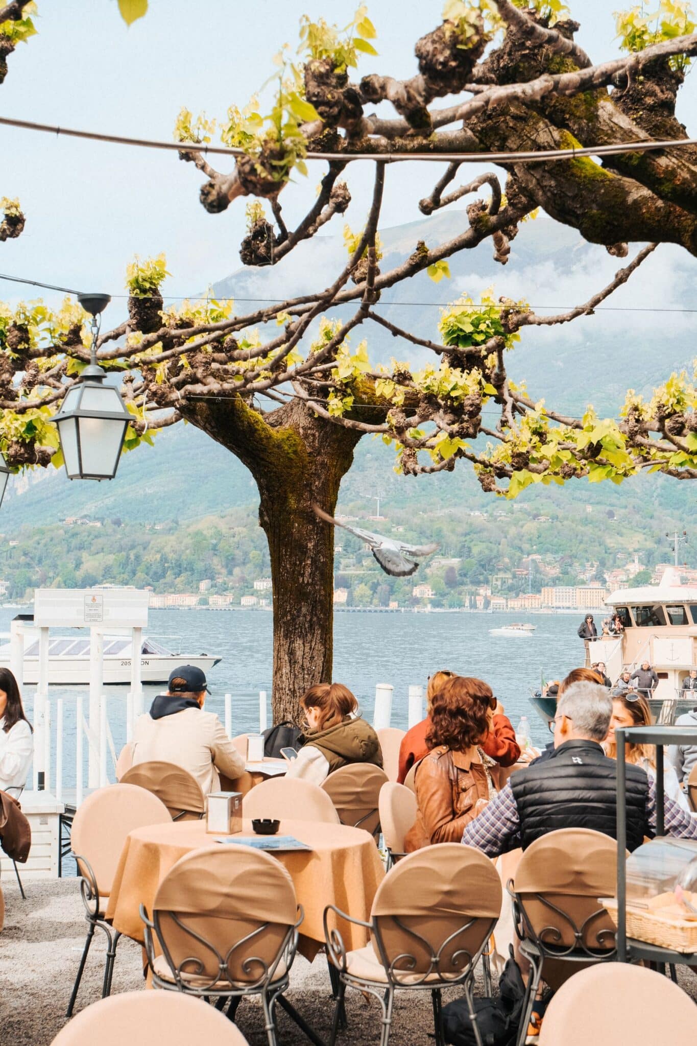 People enjoying a lakeside cafe meal