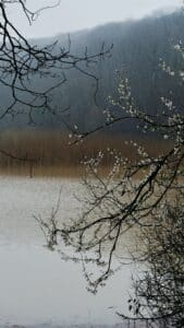 Spring lake scene with blossoming trees and mountains